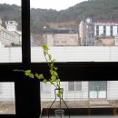 맑은내일발효공장 티스토리