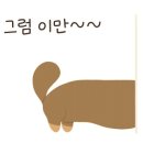 관악청담어학원