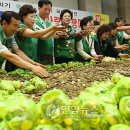 동전마을회관 이미지