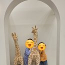 리틀빌리지 이미지