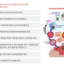 (주)아이비랩 네이버블로그