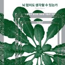 초심자를 위한 <한줄 철학> 이미지