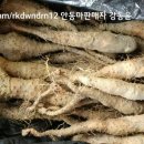 동윤농장 이미지