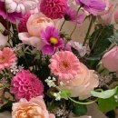 대곡플라워 이미지