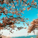 영도구청 보건소 이미지