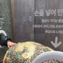 금은다방 이미지