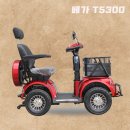 베가모터스 이미지