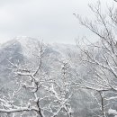 세밑 한파 이미지