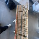 삼익피아노정읍특약점 | 정읍 엘리 스테이 피아노 조율 후기