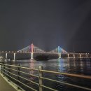 투썸플레이스장유푸드타운점 | [창원 귀산] 강아지들 코꾸녕에 바닷바람 쐬어주기 🌿