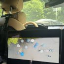 [캠핑]서울 근교 노지캠핑 장소 추천_쏘렌토 차박 후기(feat. 도킹텐트)
