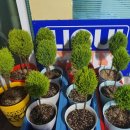 군산셀프세차타운 이미지