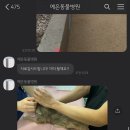 강남25동물병원 이미지