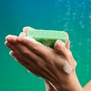 위시어스 | 2026 러쉬 프레쉬세일 기간, 꿀템 추천 (러쉬어스 선입장, 위시리스트, 지성두피)