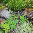 아름다운농장비밀의화원 이미지