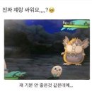 어린왕자 티스토리