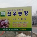 유기농표고마을