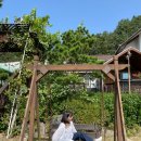 비피펜션 이미지