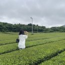 경란목장 네이버블로그