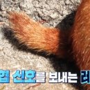 뿌리동물농장 이미지