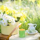 그림책으로 떠나는 인문학 여행 이미지