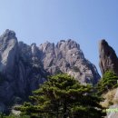 황산5일시장 이미지