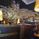 이자카야나무(삼성타운) | 내돈내산 강남역 2차 추천 | 이자카야 나무 강남 4호점(생일이벤트)