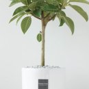 바인세라믹 이미지