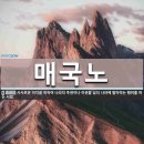 나라를 말아먹는 부역자들 2017 이미지