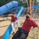 모아모아 | 가족 단체티 주문 제작 여름 단체복 티끌모아 후기