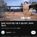 댓글풀린 MBC 날씨뉴스 근황 이미지