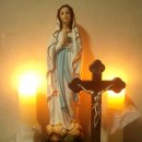 구미숲요양병원 이미지