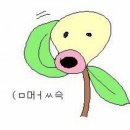 엘존Lzone 이미지