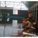 계룡 낚시터 이미지