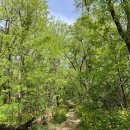 홍은2동 주민센터 | Apr (24) : 백련산 / 초록숲길(백련산구간) / 서울 산행 / 홍제천 근처 가볼만한 곳 / 백련사 뒷산...