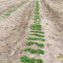 (주)황금농장 이미지