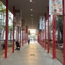 [LA🇺🇸] 5일차 - 새들백교회, LACMA 불켜지는 시간, 인앤아웃, 홀푸드마켓 주차