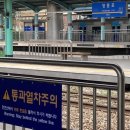 부산 여름휴가 후기