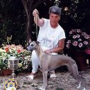 Everlastin 이미지