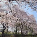 고목목장 이미지