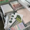 포레스트 스튜디오 (FOREST STUDIO)