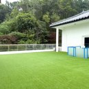 헬로우버디 판교밸리점 이미지