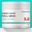 펫츠매일