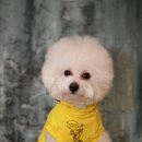 모임스튜디오 이미지