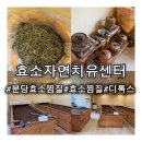 쑥향기 한의원 | [분당] 효소자연치유센터에서 효소찜질부터 왕쑥뜸 고주파까지 성남효소찜질다이어트 솔직후기