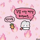 다비다세탁 | 모두들 Good~