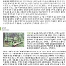 둔내유스호스텔 수영장 이미지