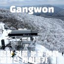강원도 평창 발왕산 케이블카 예약 및 스카이워크 카페 겨울 눈꽃 여행