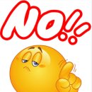 고양이미용 우다다냥 이미지