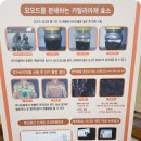 장수돌침대 포항점 네이버블로그